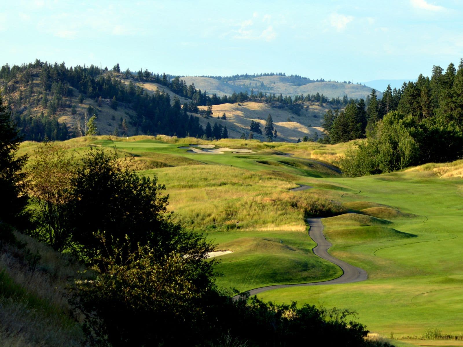 Illustrative golf course landscape