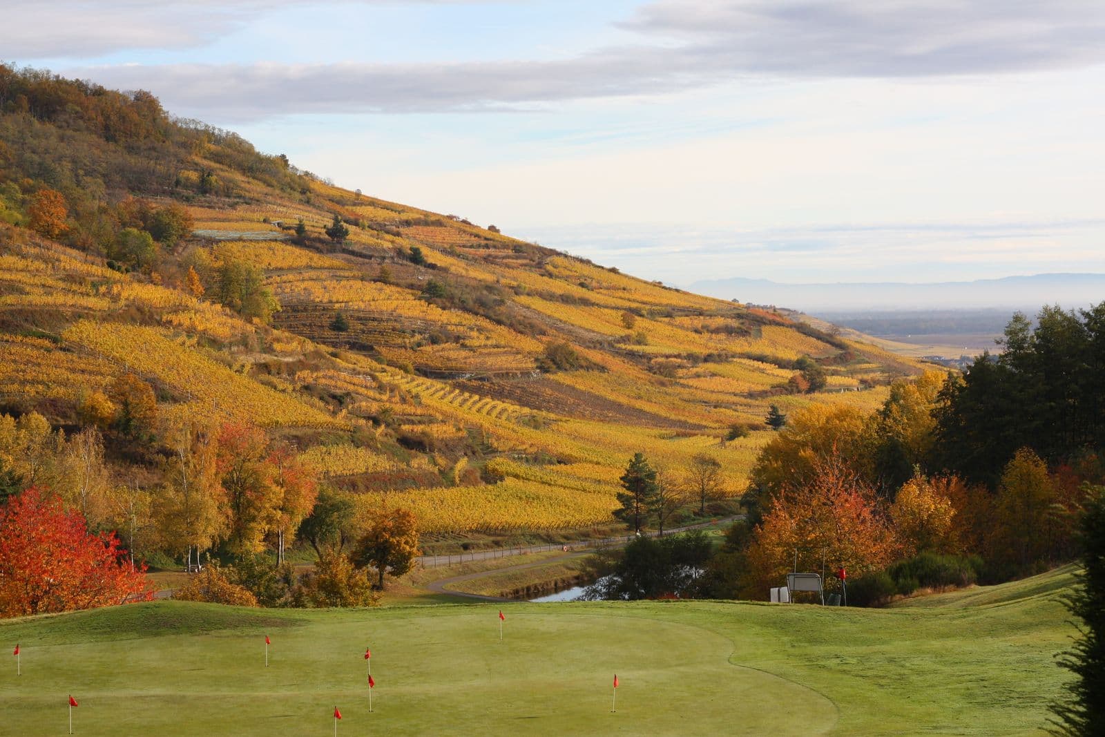 Illustrative golf course landscape