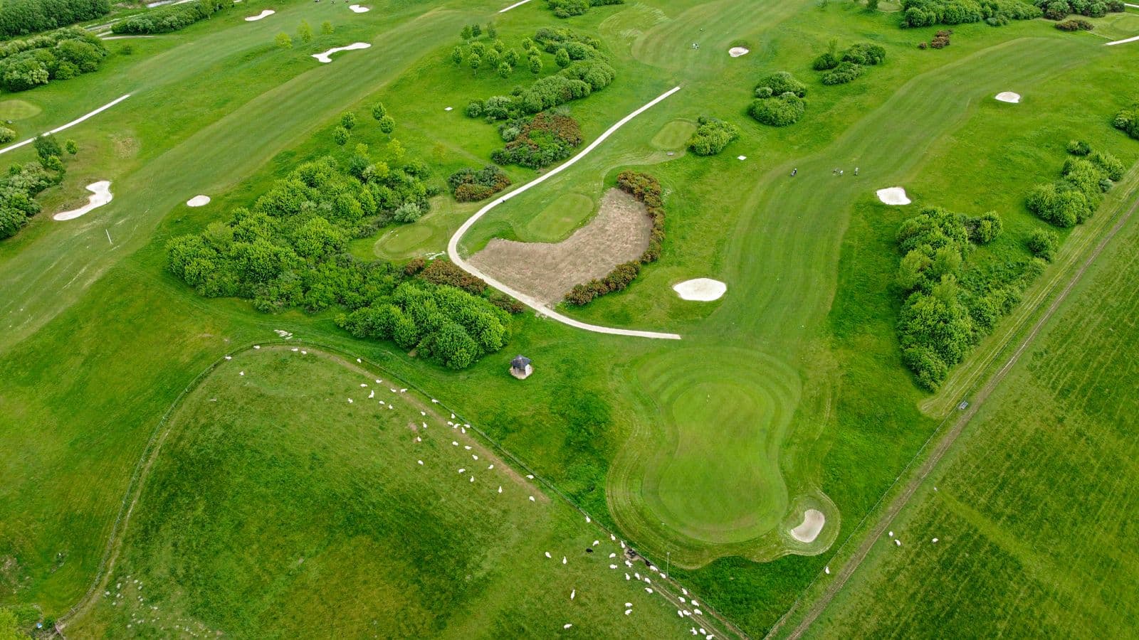 Illustrative golf course landscape
