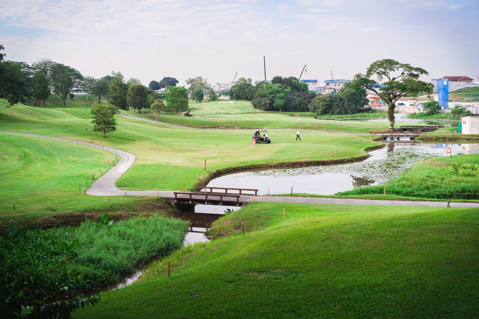 Illustrative golf course landscape