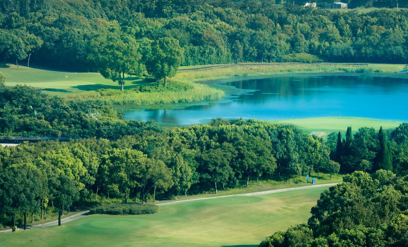 Illustrative golf course landscape