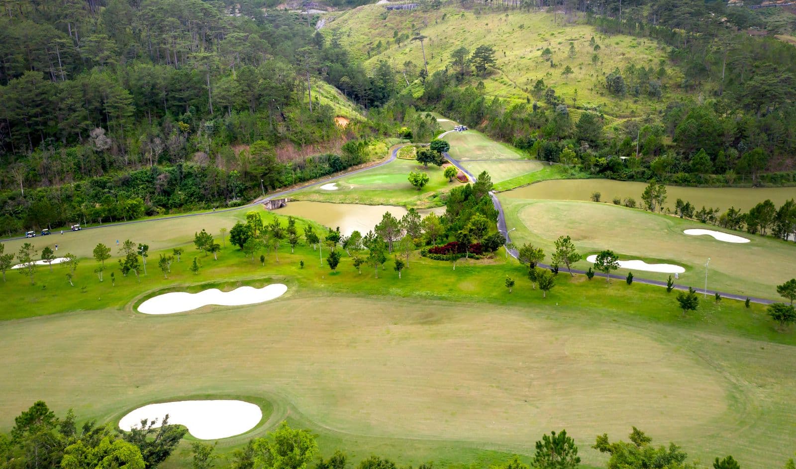 Illustrative golf course landscape