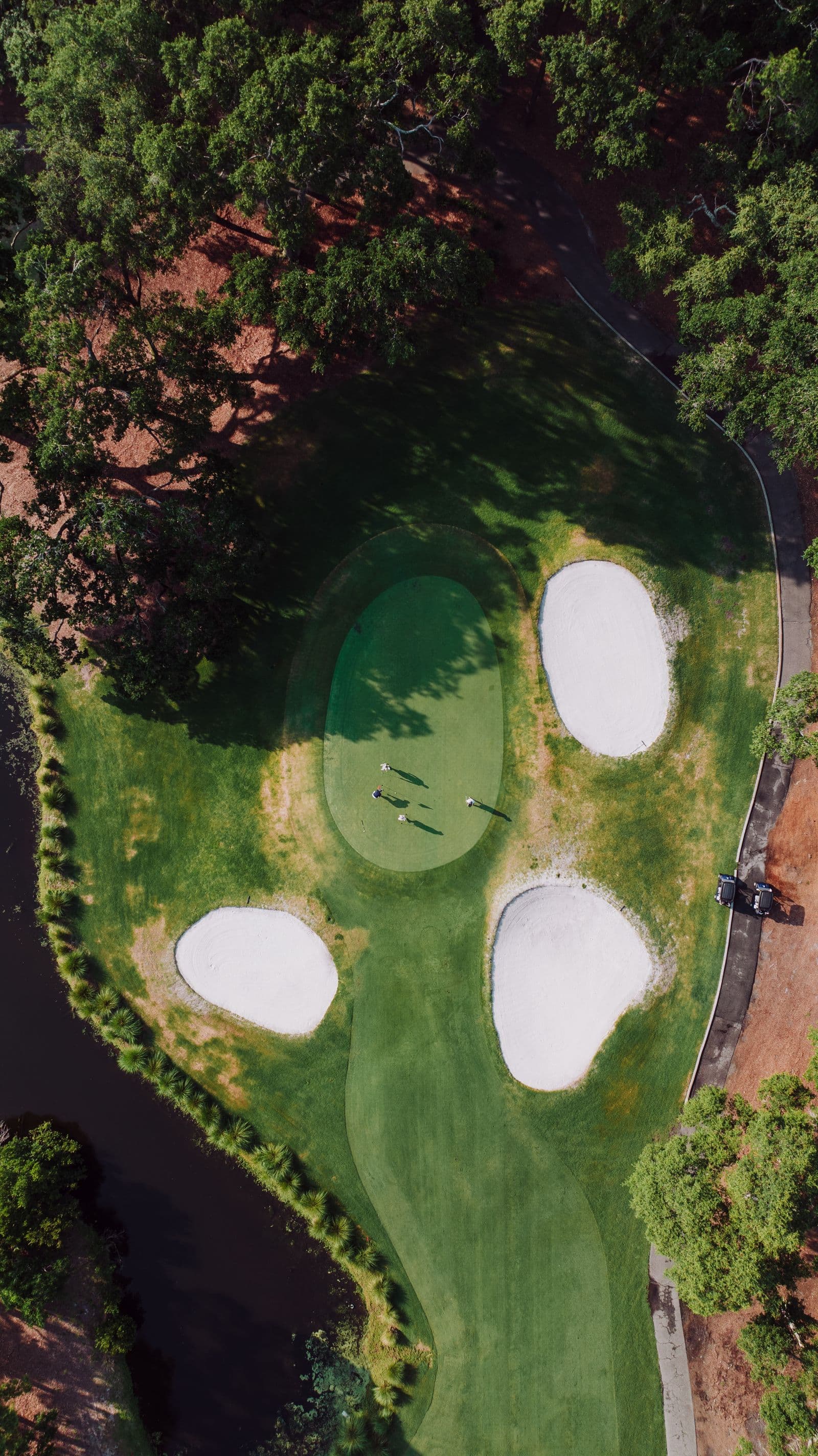 Illustrative golf course landscape
