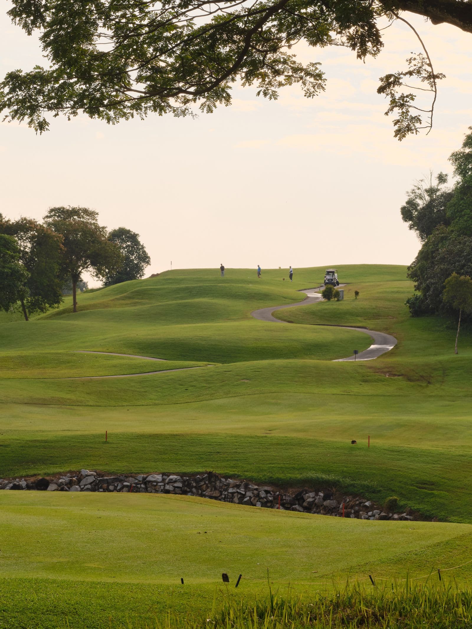 Illustrative golf course landscape