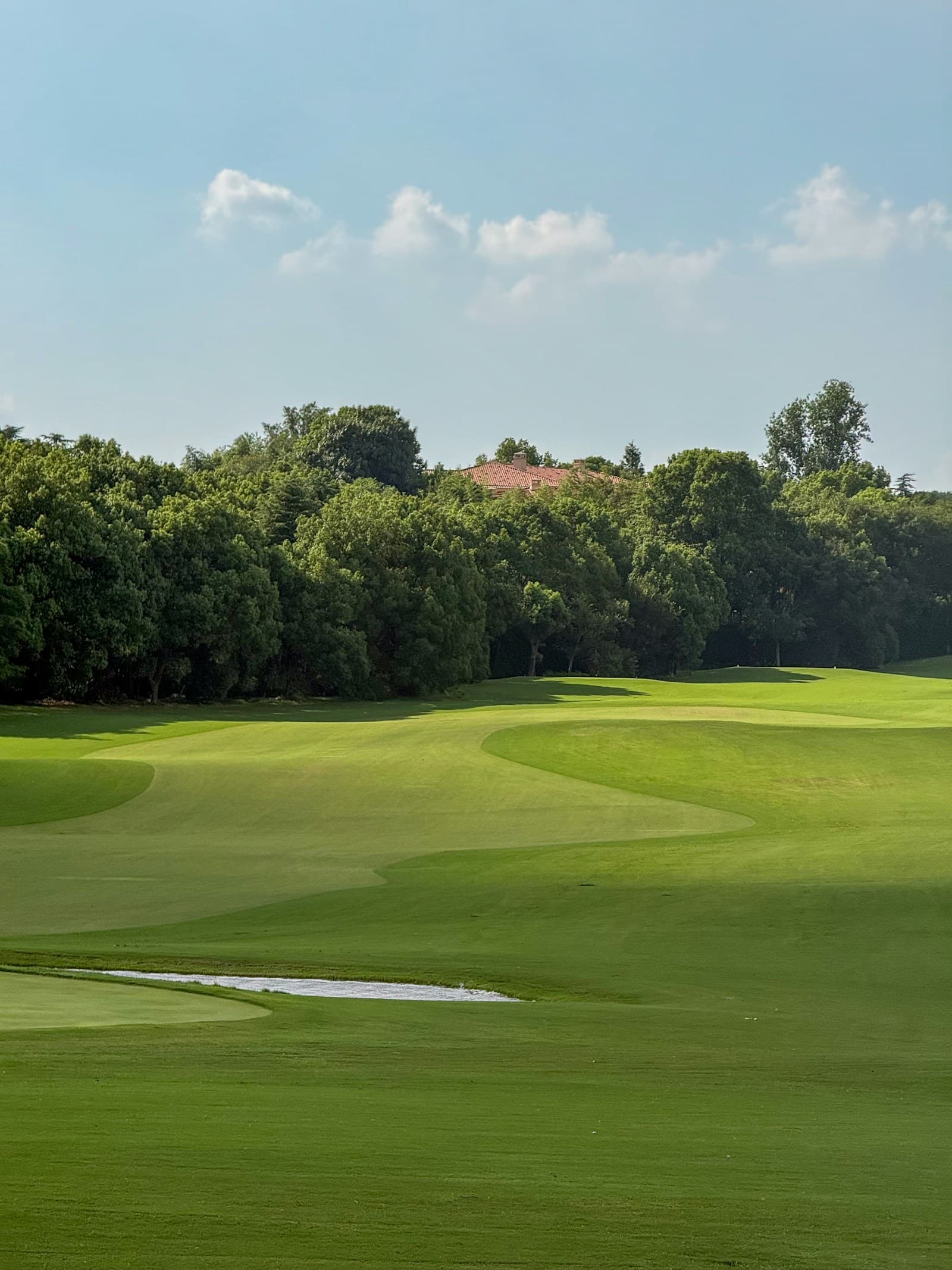 Illustrative golf image
