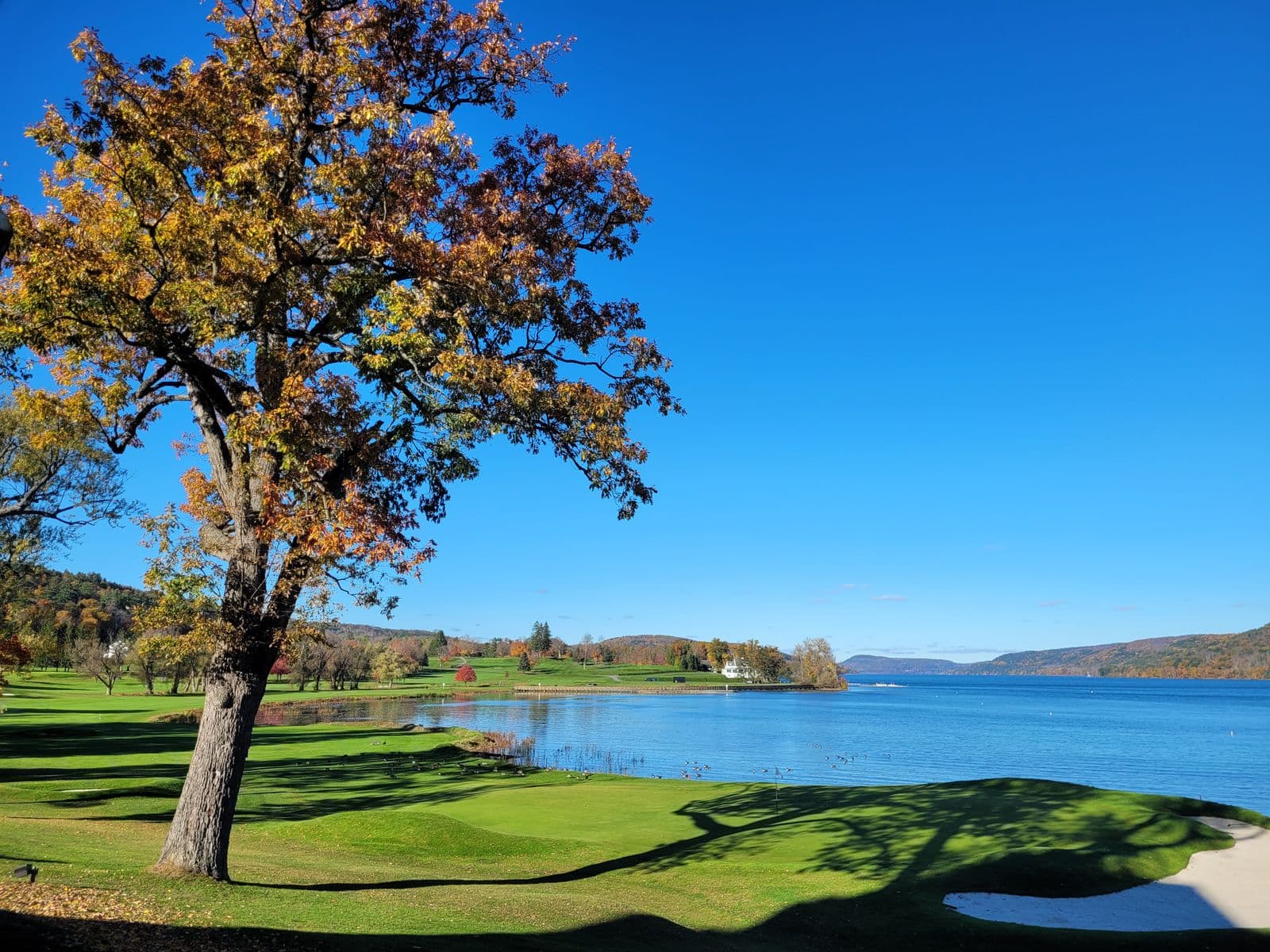 Illustrative golf course landscape