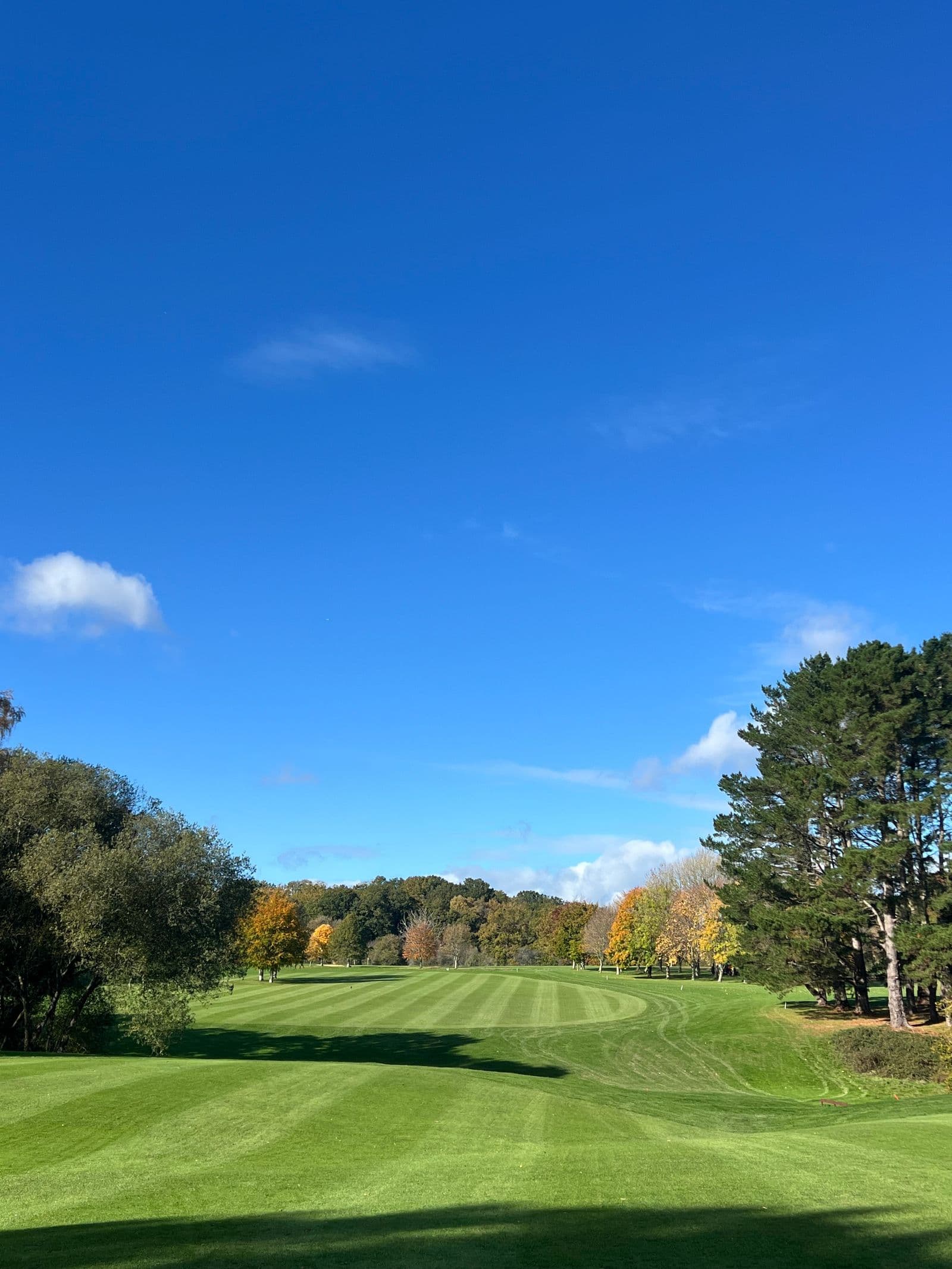 Illustrative golf course landscape