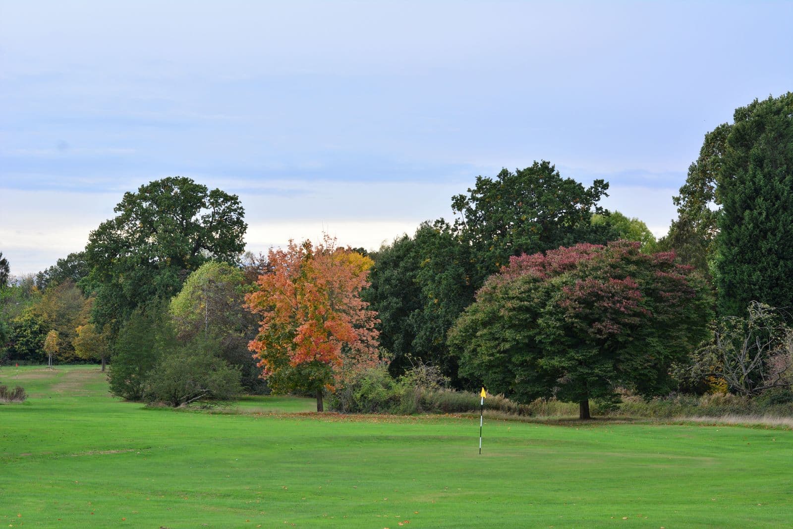 Illustrative golf course landscape