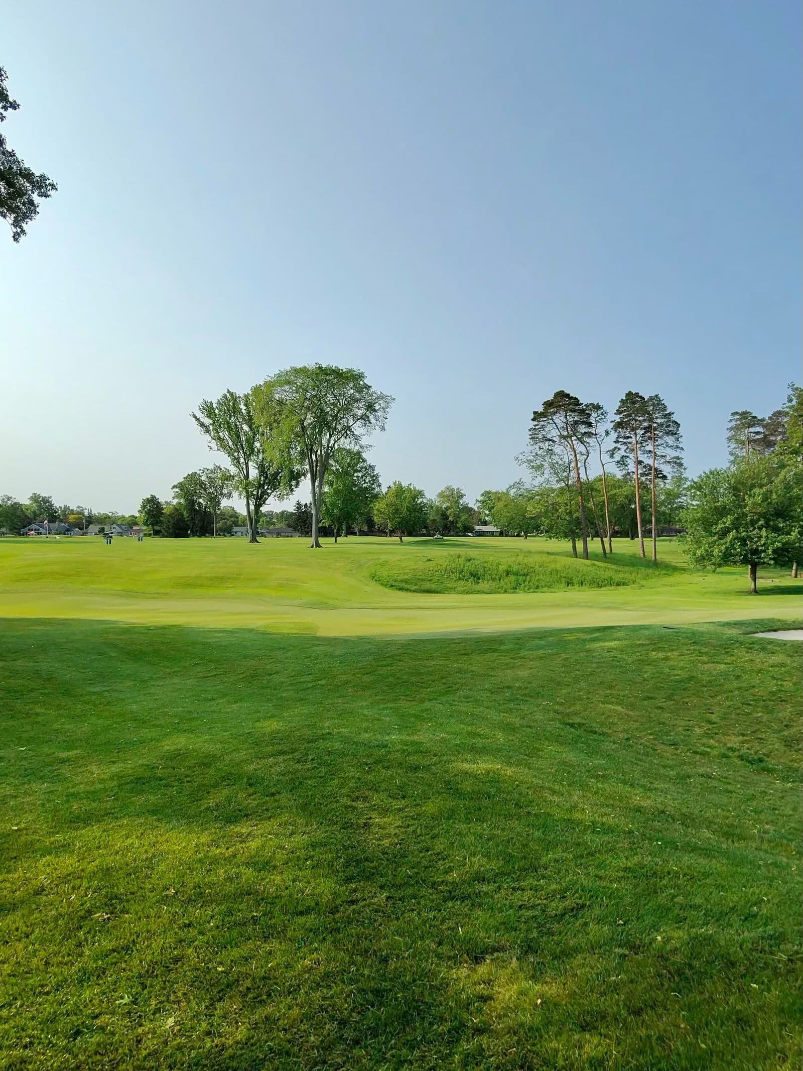 Illustrative golf course landscape