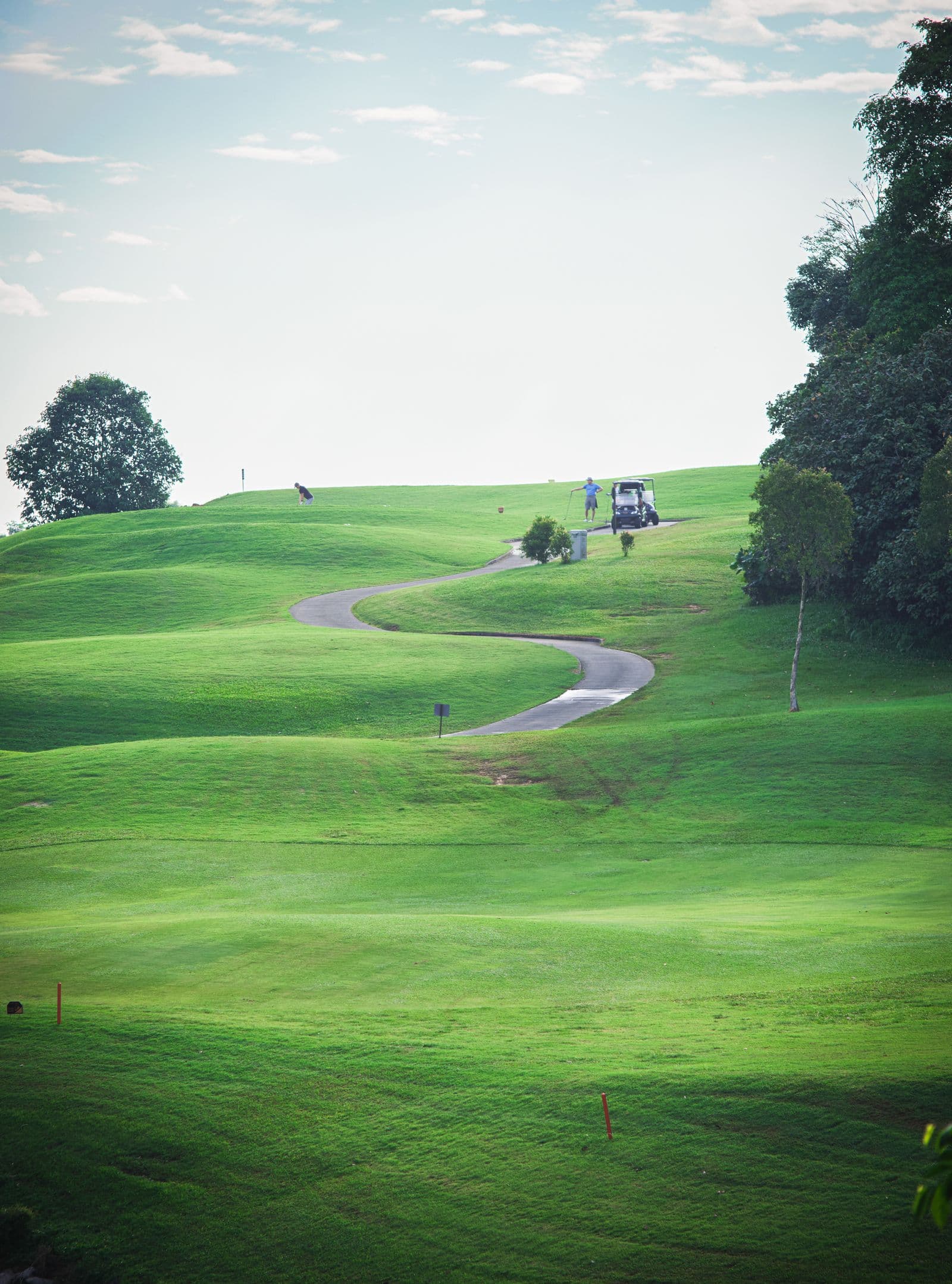 Illustrative golf course landscape